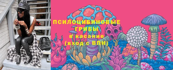 экстази Няндома