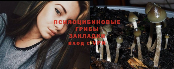 прущий лед Осташков